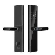 Электронный дверной замок  S819-2 Smart Lock